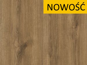 Dąb Carpenter Whisky PD3101 RW gr 18 mm
