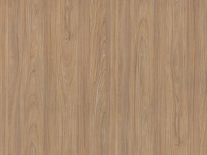 Swiss Elm PD7054 CW szer 60